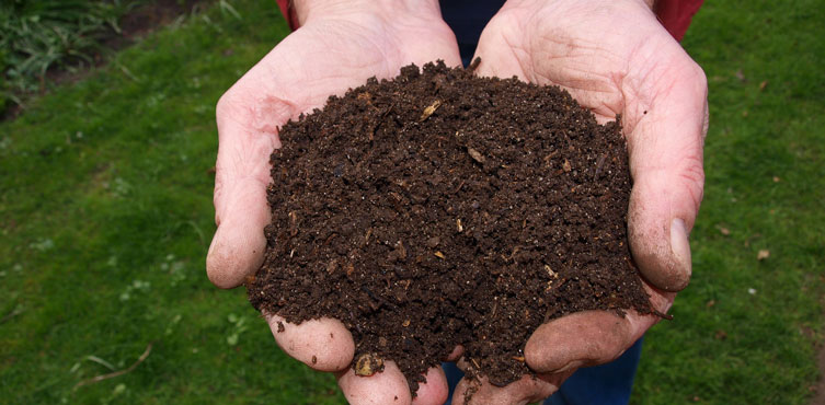 Ensure Best Soil Composition 