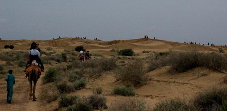 Camel Safari In Thar Desert