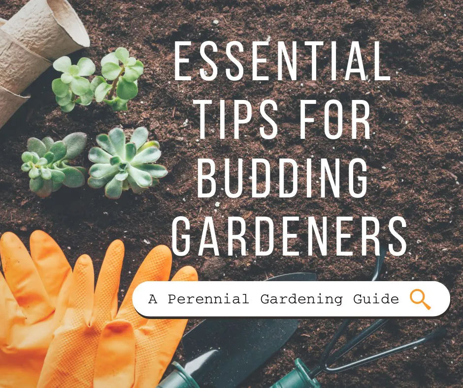 Essential Tips For Budding Gardeners
