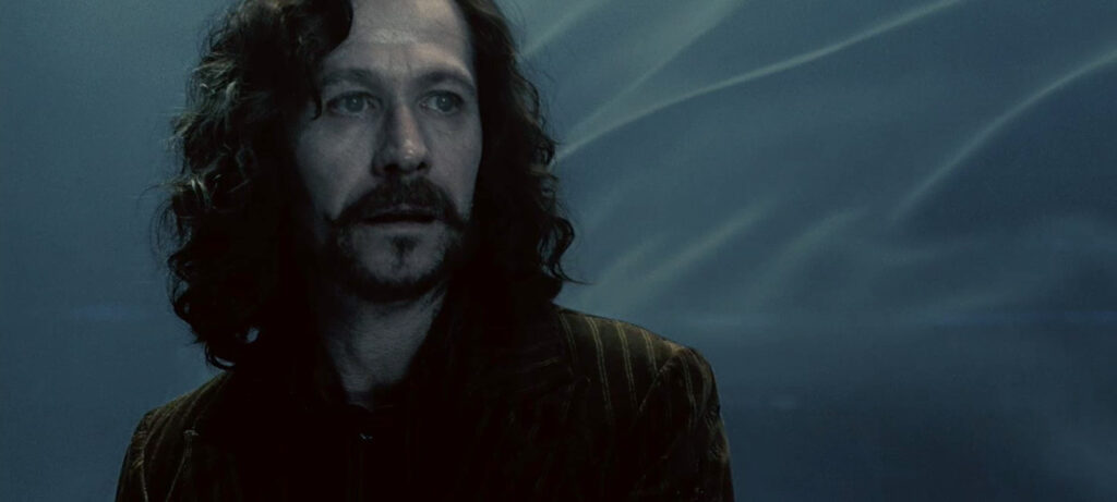 Why Did Sirius Black Choose A Black Dog As His Animagus Form