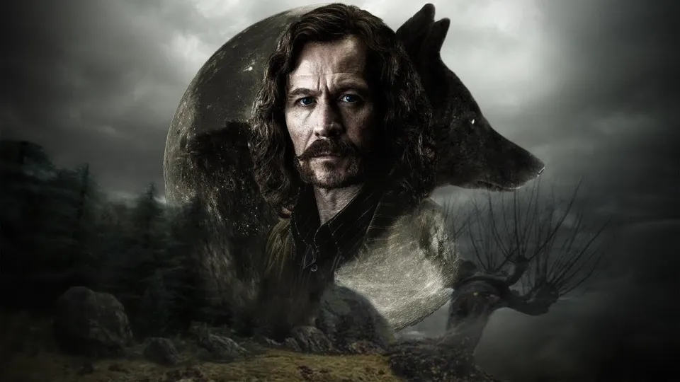 Why Did Sirius Black Turn Into A Dog & How Harry Potter's Black Dog Die?